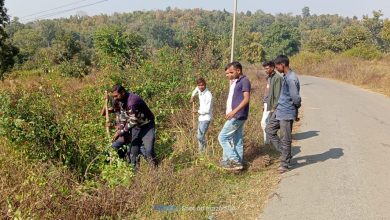 Photo of कांग्रेस राज में रोड हो रहा जंगल का स्वरूप और जंगल हो रहा गाँव का स्वरूप