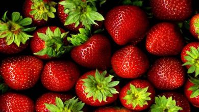 Photo of स्ट्रॉबेरी के फायदे जानकर आप हो जाएंगे हैरान, सेवन करने से स्वास्थ्य को मिलेंगे कई लाभ!