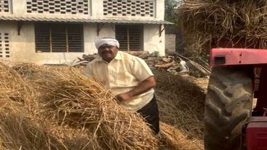 Photo of कांग्रेस प्रत्याशी खेती कार्य में व्यस्त, धान मिंजाई जोरों पर